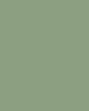 Fosco - Vopsea Camuflaj - RAL 6021 - Pale Green - Mat
